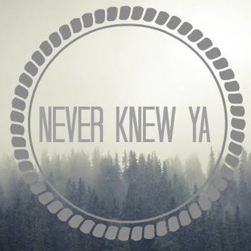 Never Knew Ya