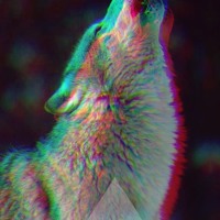 Wolf Catcher - So Emotional