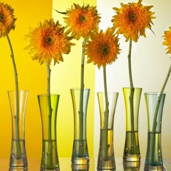 Kim Bum Soo - BoGoShipDa (girl cover)