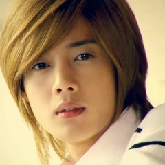 Because I'm stupid - Kim Hyun Joong