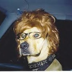 Tomas The Tank - Under Sound