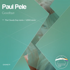 Paul Pele - Goodbye (The Cloudy Day Remix)