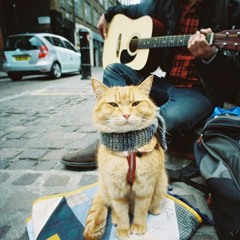 Ivashov - Блюзовый кот