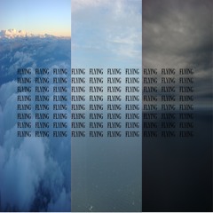 Flying