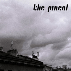 The Pineal - Do You Like My Sadness