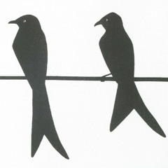 Two Birds (Regina Spektor Cover)