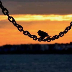 شمسُ الـودَاع | بدُون إيـقاع | حمُـود الخضـر