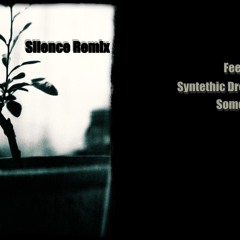 Seamless ft Veela - Sometime (Silence Remix)