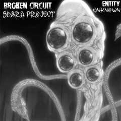 Entity Unknown - [Broken Circuit & Shard Project] [REMASTERED]