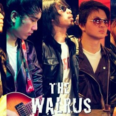 Oh Carol - The Walrus Band (Indonesia)