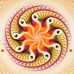 DJ Nanda Mix Live @ Ozora 2013