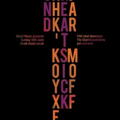 Snd At The Shacklewell Arms London 10 6 12