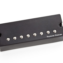 DISTORTION 8-String