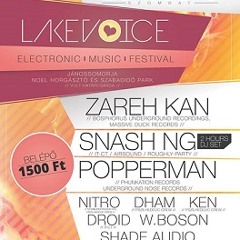 Dham - LakeVoice Festival 2013 live mix