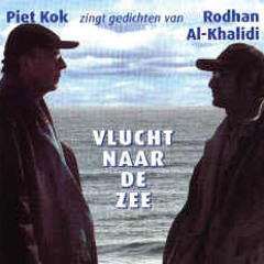 Wandeling door Harlingen