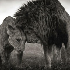 Wrong from right (draft)