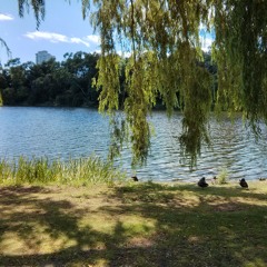 Chances (Strokes cover) (2013)