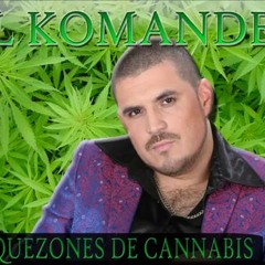 Dj Cesar "El Guache" - Mix El Komander 2013