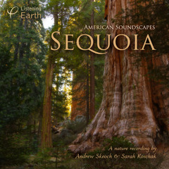 Sequoia, An American Soundscape - Album Sample
