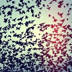 Be your everything - Boys like Girls