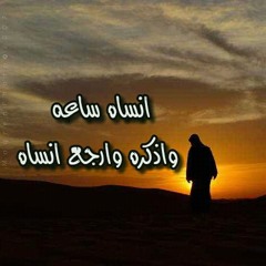 شـيلات