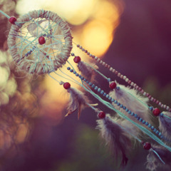 F.O.B.'s Young Volcanoes (Cover)