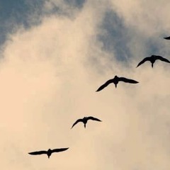 حُلُمَــي لُقيـآك غـرآمُ