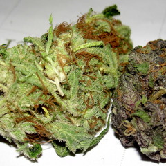 skrewface mix vol 2 feat traumatik and jaydee