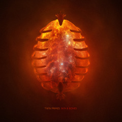 Twin Primes - Skin & Bones