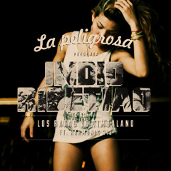 Indio Ribetiao (Los Rakas Vs. Timbaland Mash)