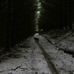 We will be alright, won't we dear? (a quarter of an hour later mix)