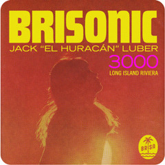 BriSonic 3000