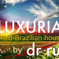 Dr Rub - Luxuria (Afro-brazilian house)