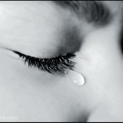 رامى  بتقولى مجروحه