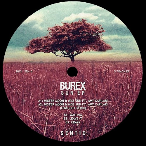 SEN10 : Burex ft. Amy Capilari - Mister Moon & Miss Sun (Low Riot Remix)