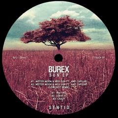 SEN10 : Burex - Waiting (Original Mix)