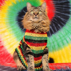 The 40 min. set that crashed my laptop.