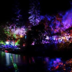 Shiny Objects - Sunset Campout 2013 DJ Mix