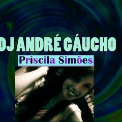 DJ André Gaúcho - Priscila Simões (Preview)