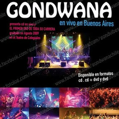 Tocando Teclados Rhodes & Moog - Gondwana Live From Buenos Aires 2010 - Fluye -
