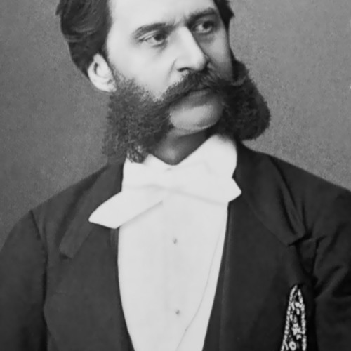 Johann Strauss - Le beau Danube Bleu