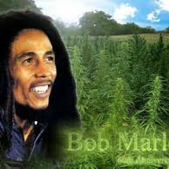 AtomaRe *Live* @ BoB MaRleY- I smoke Two Joints