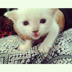 Just Following The Lyrics ^^ Becky G - More Than Friends