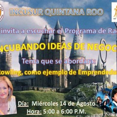 Programa de Radio "INCUBANDO IDEAS DE NEGOCIO"