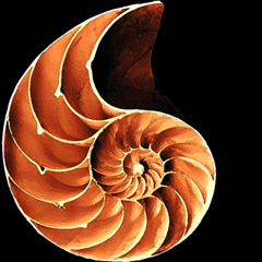 LOS SANTOS DUMONT - Edad Oculta