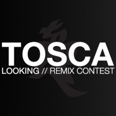 Tosca - Looking (AdR Remix)