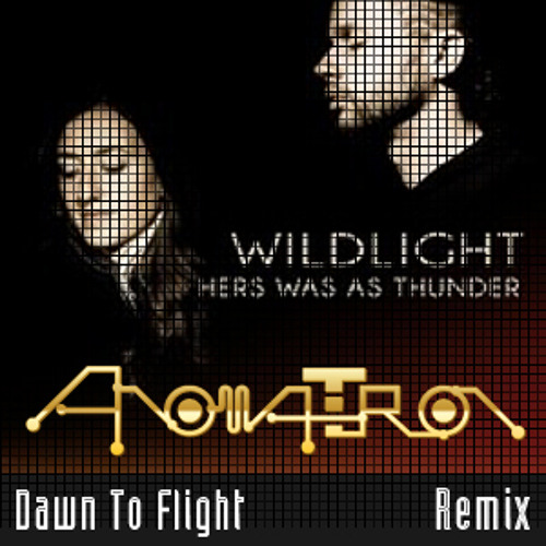 Wildlight - Dawn To Flight (Anomatron Remix)