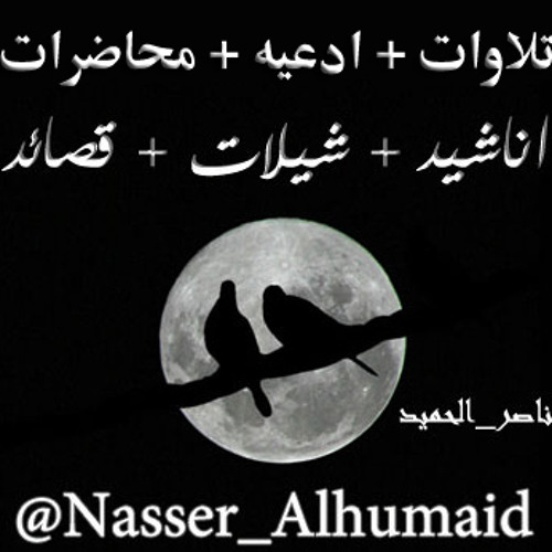 شيلات