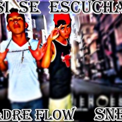 ASI  SE  ESCUCHA  PADRE  FLOW  FT  SNEK