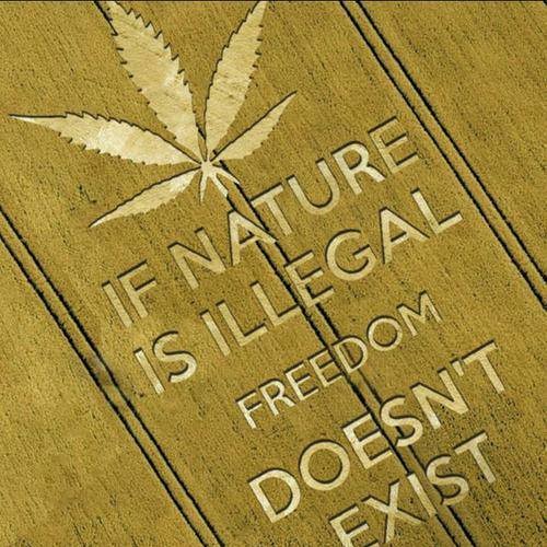 Psykart - Ganja Life